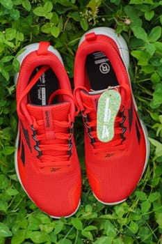 Tyumen, Russia-June 20, 2024: Sneakers red Reebok men model Nanoflex EK M2. Vertical photo