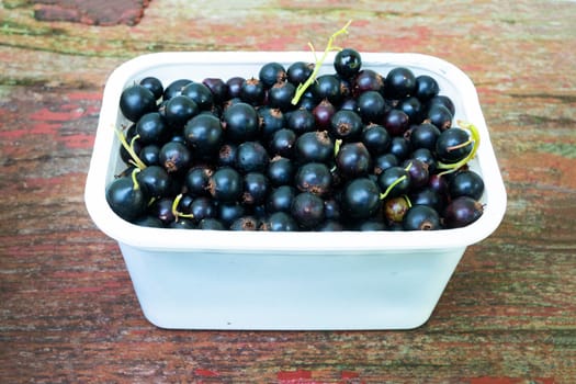 Freshly picked currants in a white plastic box on a wooden red background.