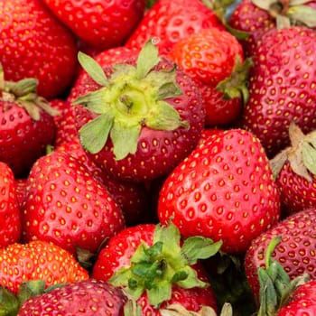 Attractive, appetizing strawberry macro.