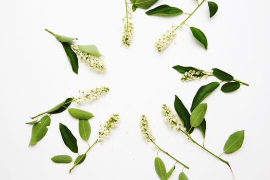 Composition of flowering chestnut branches on a white background, top view, flat lay.