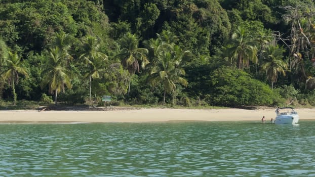 A vacation boat lies on a sandy beach amidst a lush jungle; people are unrecognizable, creating a paradisiacal setting.