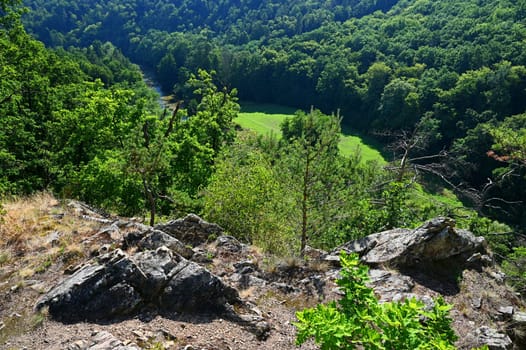 Beautiful nature with forest and rocks in the Jihlava river valley. Landscape on a summer day Czech Republic - Europe.