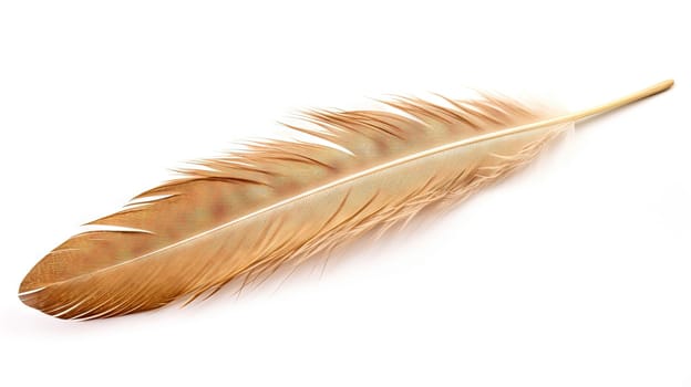 Bird feather on white background. Beautiful bird plumage or wing element, isolated smooth feather. Generated AI