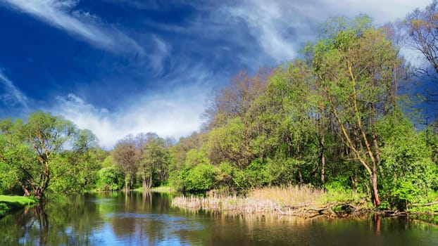 A strip of forest on the far bank of the river and a blue sky with clouds in the background.