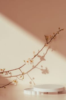 Blooming spring branches with flowers and its shadow on beige background in studio
