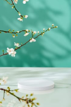 Decorative podiums and blooming branches on green background with shadows copy space