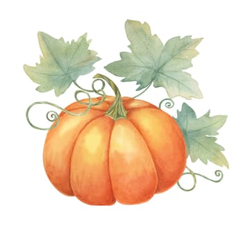 Orange pumpkin with green leaves and tendrils. Squash illustration. Watercolor clipart for Thanksgiving decorations, fall festival posters, and harvest-themed invitations, postcards, flyers, blogs