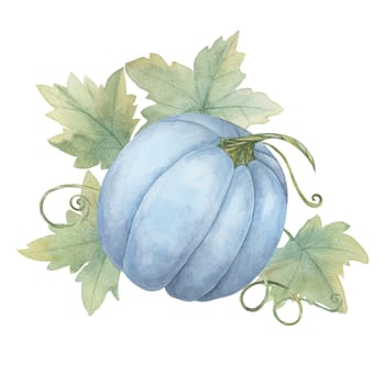 A Blue Pumpkin surrounded by green leaves and vines. Squash watercolor clipart. Perfect for autumn-themed designs, such as greeting cards, barn weddings, invitations, and seasonal home decor, flyer