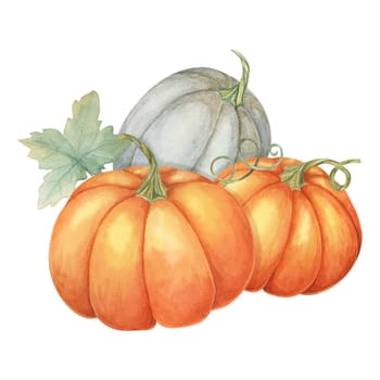 Two orange pumpkins and one grey pumpkin with green leaves. Colorful squash illustration. Watercolor clipart for fall-themed invitations, Thanksgiving, seasonal greeting cards, and kitchen decor