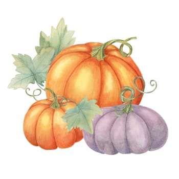 Two orange pumpkins and one purple pumpkin with green leaves. Colorful squash illustration. Watercolor clipart for fall-themed invitations, Thanksgiving, seasonal greeting cards, and kitchen decor