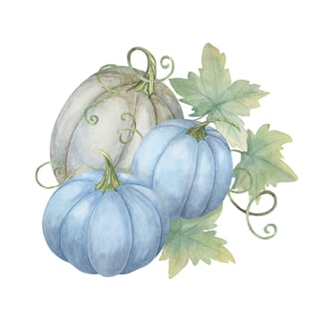 Two blue pumpkins and one white pumpkin with green leaves. Pastel colored squash illustration. Watercolor clipart for autumn wedding invites, seasonal marketing, Thanksgiving and unique fall decor