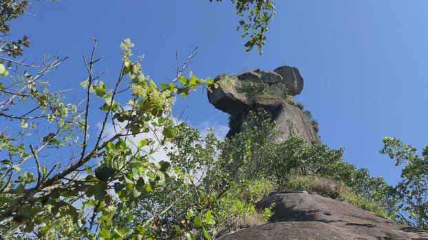 Slow-motion video of Parrot Rock in Ilha Grande, Rio de Janeiro, highlighting its distinctive parrot-like shape and natural formations.