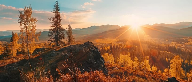 The golden hour casts a warm glow over a larch forest, bathing the landscape in rich amber hues, with the setting sun peeking through the rolling hills, heralding the close of a serene day