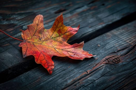 A leaf is laying on a wooden surface. The leaf is orange and yellow, and it is wet. Concept of autumn and the beauty of nature