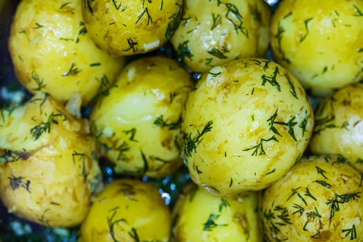 Close-up view of boiled potatoes garnished with fresh dill. The detailed shot captures the vibrant yellow color and the herb-infused texture of the potatoes, making it ideal for use in culinary and food-related projects.