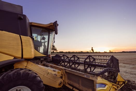 A combine harvester reaps a field of wheat at sunset. Harvesting the summer harvest. Trading grain crops on futures