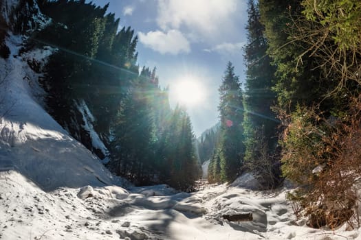 A picturesque walking trail along the winter Bear Gorge in the Almaty region of Kazakhstan. Amazing landscapes of Central Asia.