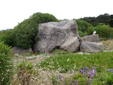 A large stone sign with the words Golden Gate Park etched into it marks the entrance to the park. The sign is surrounded by green grass and bushes.