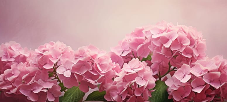 dreamy beautiful hydrangea flowers closeup, ai