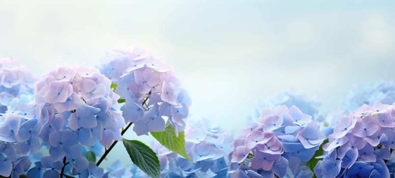 dreamy beautiful hydrangea flowers closeup, ai