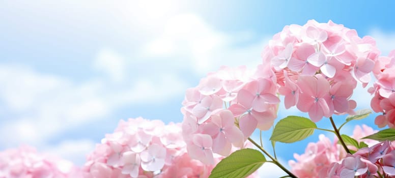 dreamy beautiful hydrangea flowers closeup, ai