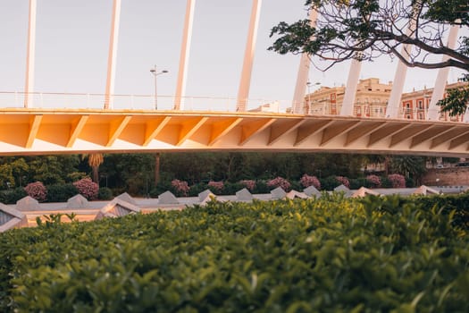 Modern bridge spans a lush park with buildings in the background. Architectural blend of greenery, concrete, and structures highlights Valencia urban landscape and scenic charm.