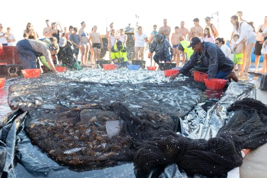 Portugal fishermen - a sailor - a group of sailors are gathered around a large body of water with fresh fish. The scene appears to be a fishing event, with people standing around the water