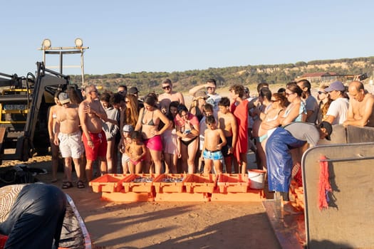 3 july 2024, Costa da Caparica, Portugal - Trading of fresh fish - sardines after working of fishermen, wide angle