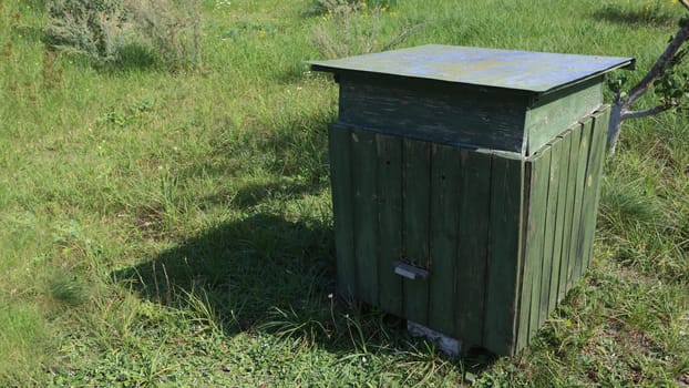 An old beehive with shabby green paint, green grass, shadow from the sun.