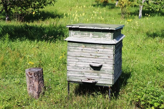 Wooden beehives for bees on green grass in nature.