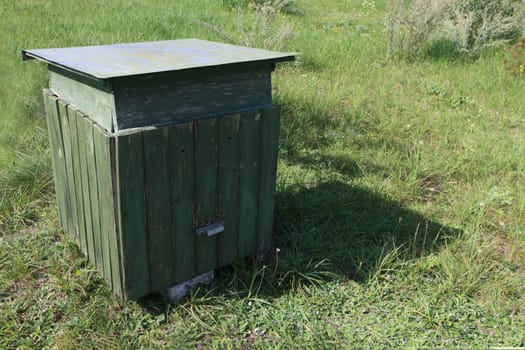 Green wooden hive for bees on the grass in nature.