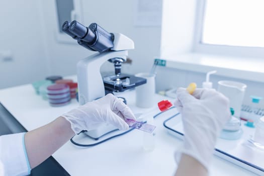 female laboratory assistant conducts research, chemical analysis, analysis of bacteria in the laboratory, doctor makes a test