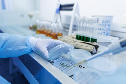 female laboratory assistant conducts research, chemical analysis, analysis of bacteria in the laboratory, doctor makes a test