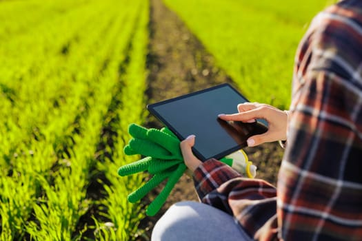 young female farmer with a tablet in her hands examines the green field. Modern technologies in agriculture management and agribusiness concept