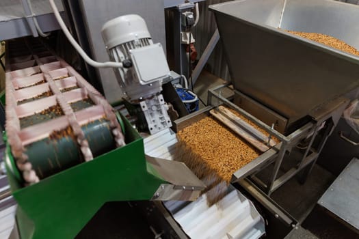 Grain sorting machine, Paddy machine sorts grains of one crop, separates grain peeling products. grain quality concept
