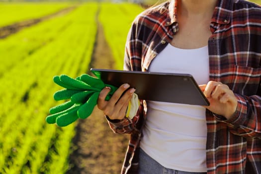young female farmer with a tablet in her hands examines the green field. Modern technologies in agriculture management and agribusiness concept