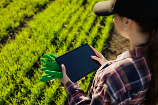 young female farmer with a tablet in her hands examines the green field. Modern technologies in agriculture management and agribusiness concept