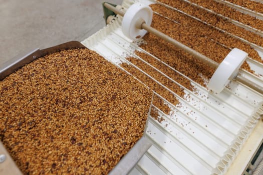 Grain sorting machine, Paddy machine sorts grains of one crop, separates grain peeling products. grain quality concept