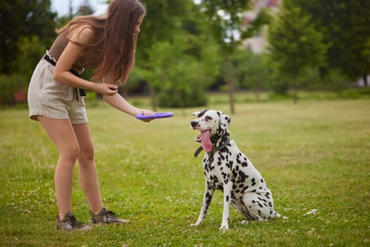 a young girl treats a Dalmatian dog in the park. dog training concept, love for animals, dog walking