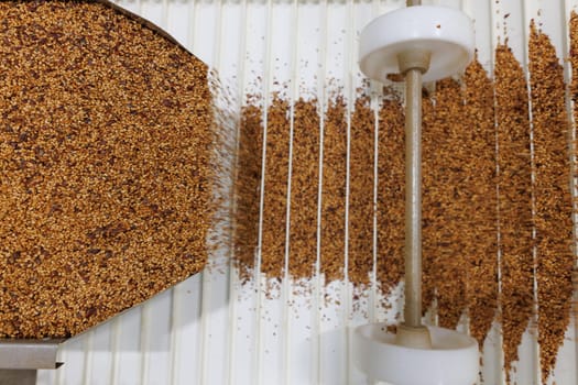 Grain sorting machine, Paddy machine sorts grains of one crop, separates grain peeling products. grain quality concept