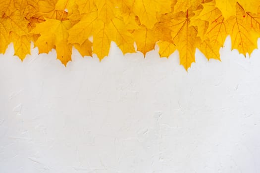Autumn leaves frame on up side white structured background top view Fall Border yellow and Orange Leaves vintage background table Copy space. Mock up for your design. Display for product or text