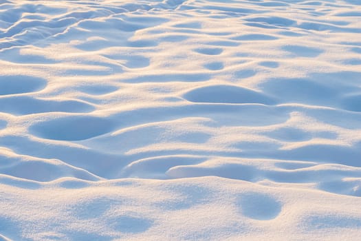 Footprints and Paw Prints in the Snow.
