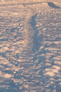 A large path in the snow illuminated by the setting sun.