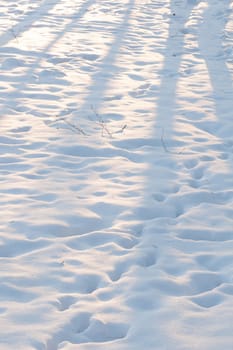 Brightly lit snow surface with footprints. Snow surface with shadows and traces in sunny weather.