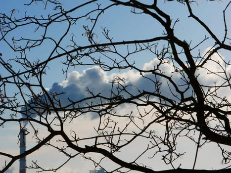 The bad ecology. Factory chimney with smoke against the background of tree branches and a clear blue sky. Environmental protection concept.