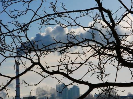 The bad ecology. Factory chimney with smoke against the background of tree branches and a clear blue sky. Environmental protection concept.