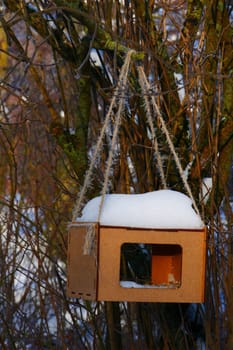 A wooden feeder covered with snow on a rope hangs on the branches of a tree.