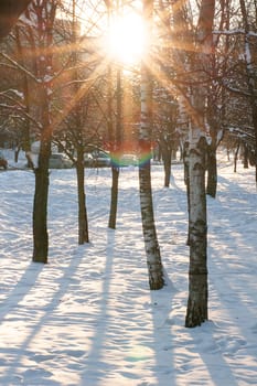 View of a city park, trees,
