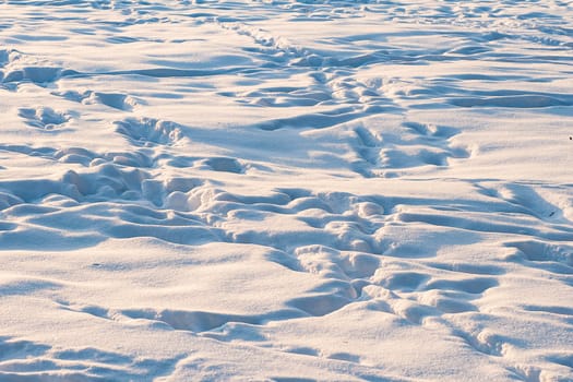 A large number of footprints on a snowy surface well lit by the sun.