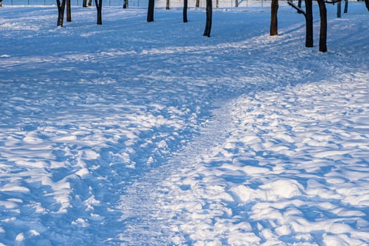 A trampled path in a city park with numerous footprints in the snow. tracks under sunlight.